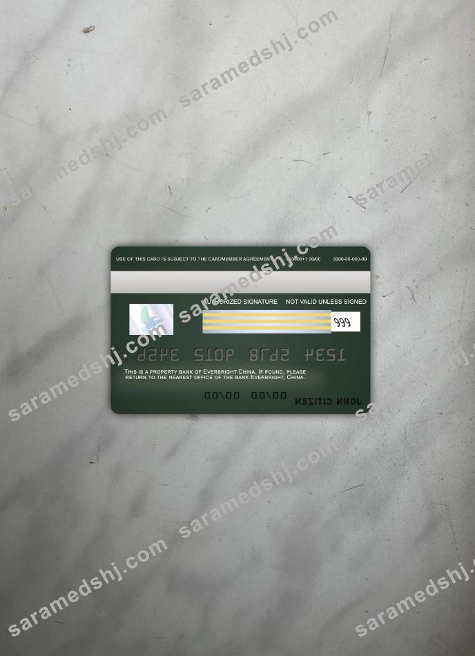 China Everbright bank visa card photolook back